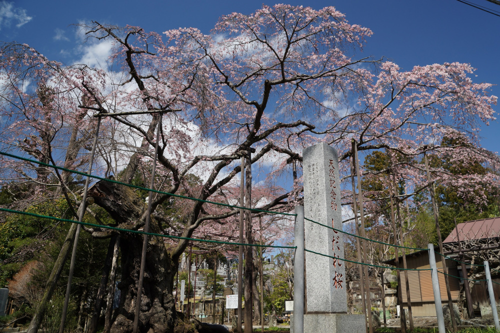 2022年3月27日(日)