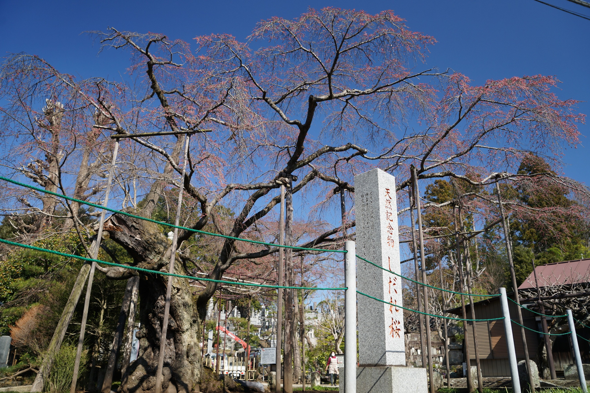 2022年3月24日（木）