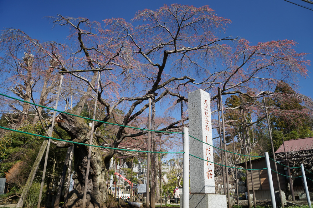 2022年3月24日(木)