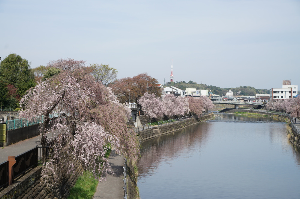 2022年4月13日(水)