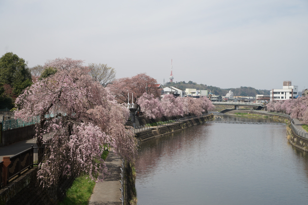 2022年4月11日(月)