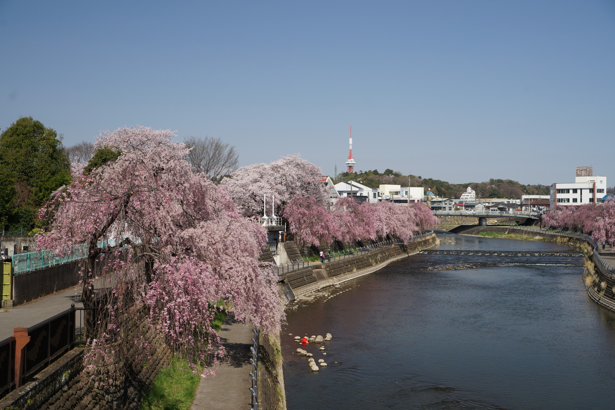 2022年4月8日（金）