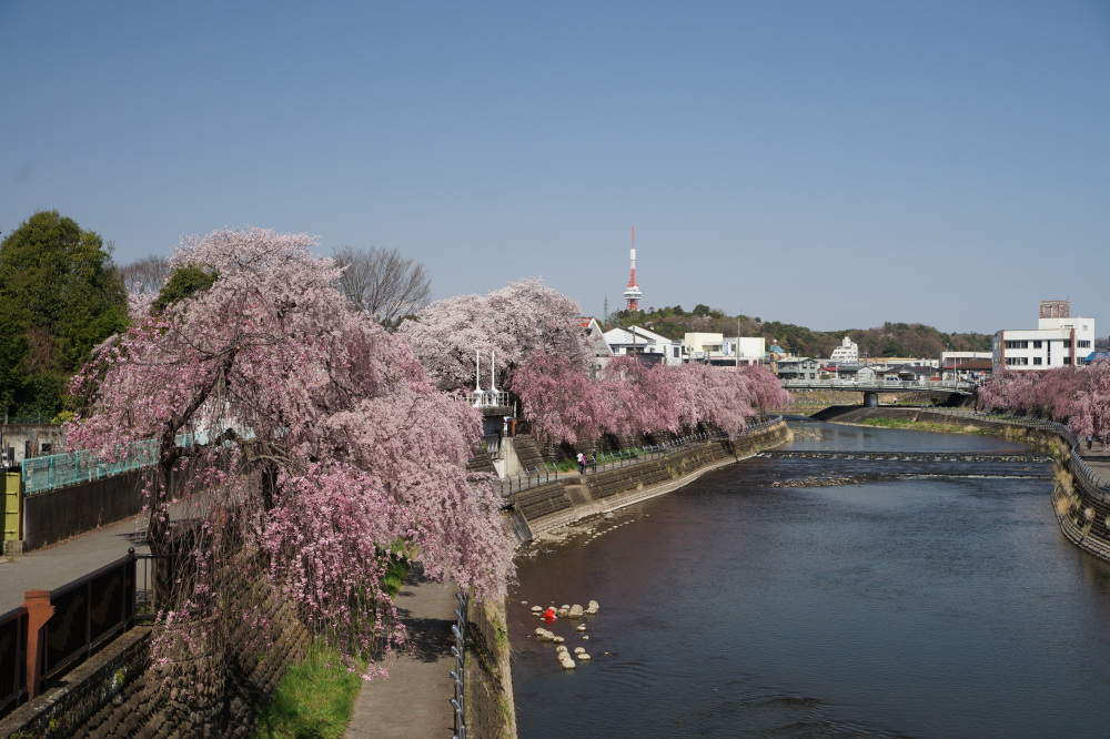 2022年4月8日(金)