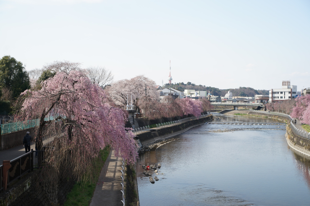 2022年4月2日(土)