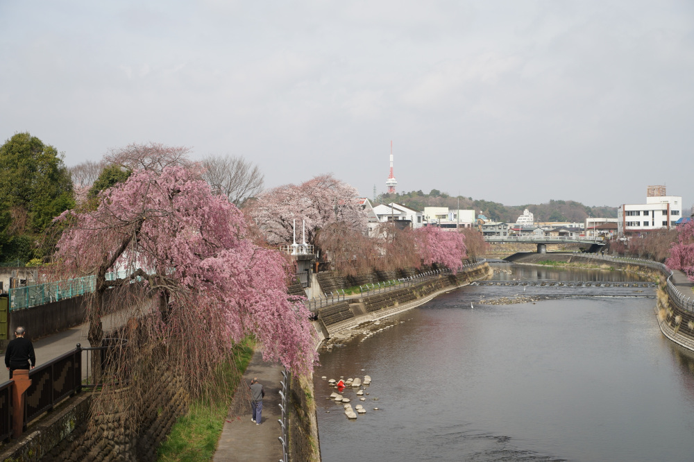 2022年3月31日(木)