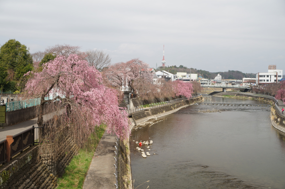 2022年3月30日(水)