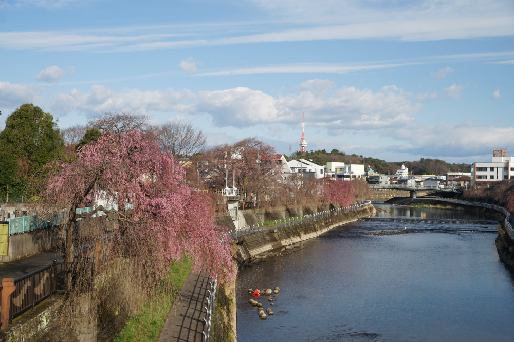 2022年3月28日(月)