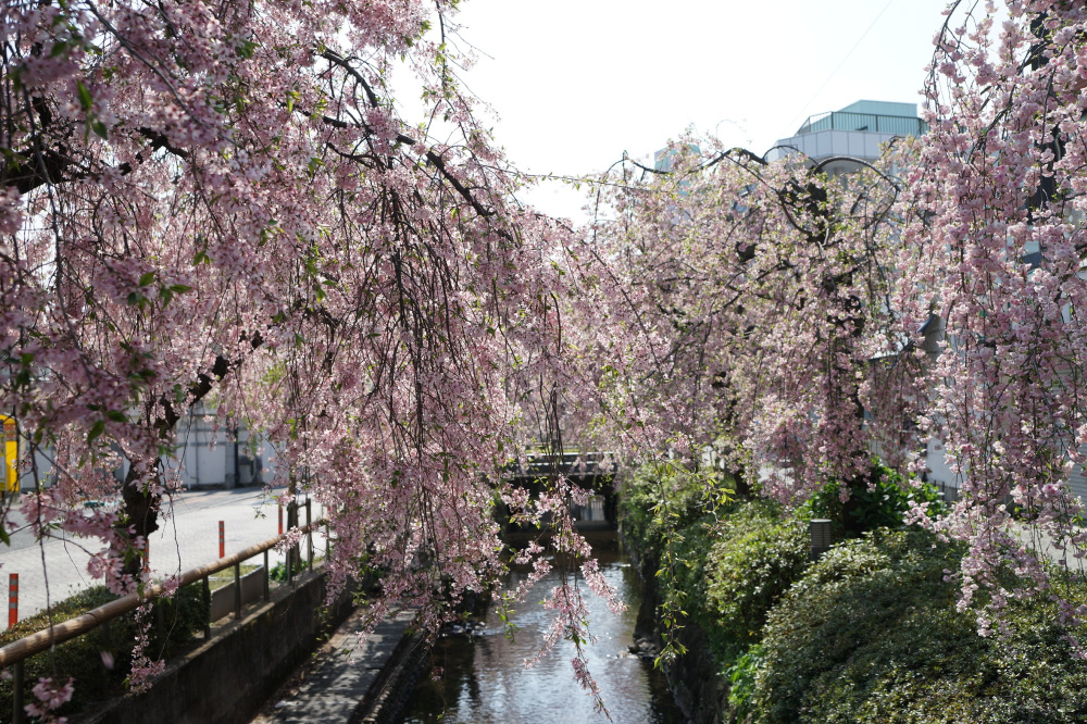2022年4月12日(火)