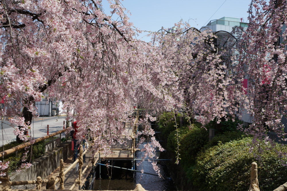 2022年4月10日(日)