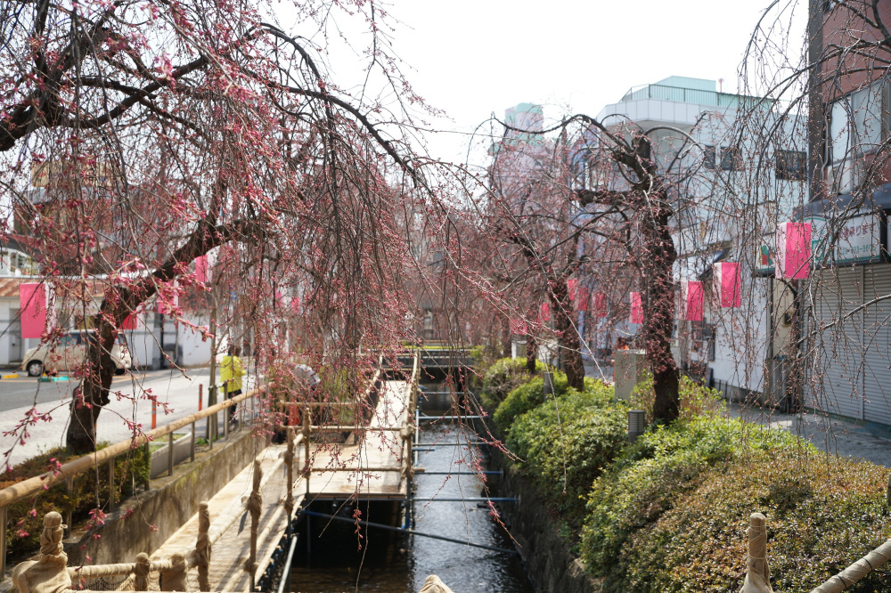 2022年3月25日(金)