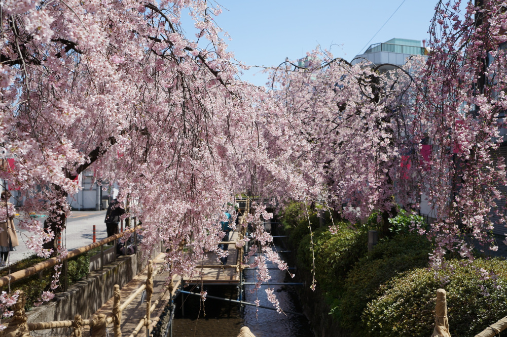 2022年4月8日(金)