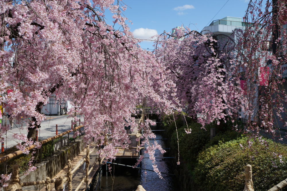 2022年4月5日(火)
