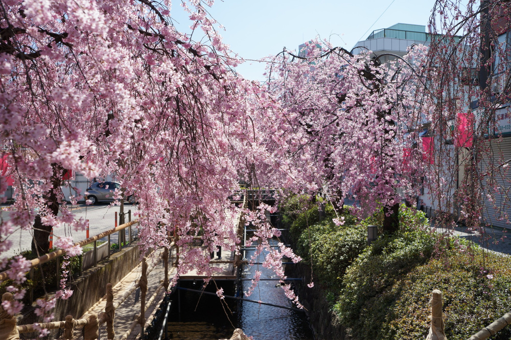 2022年4月2日(土)