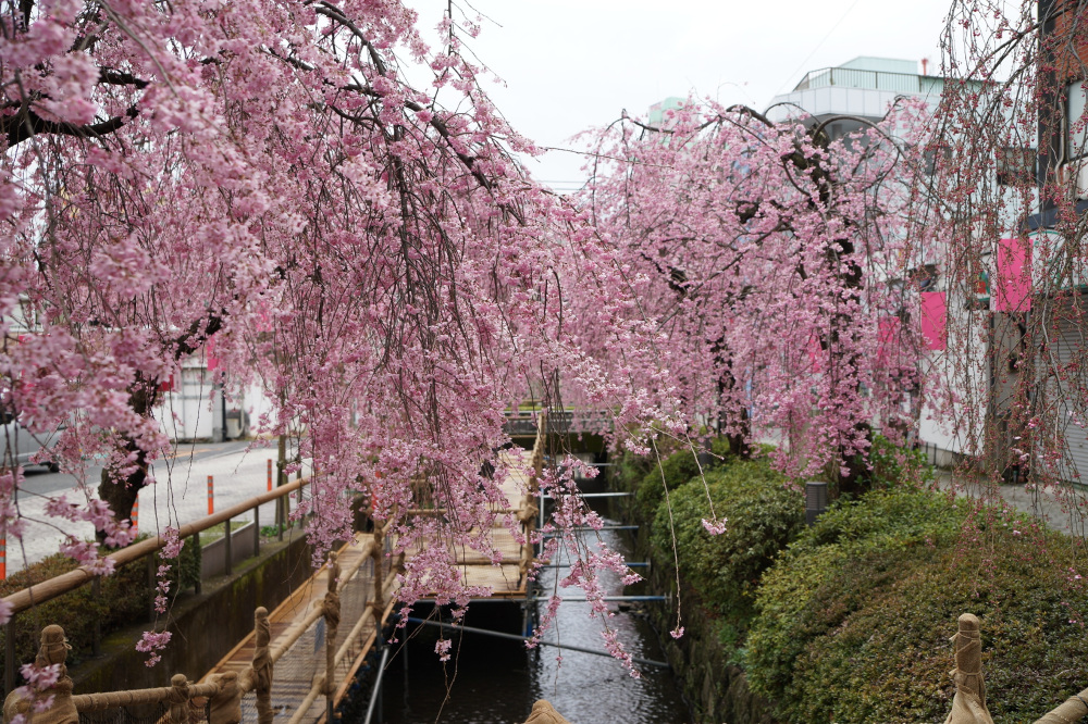 2022年4月1日(金)