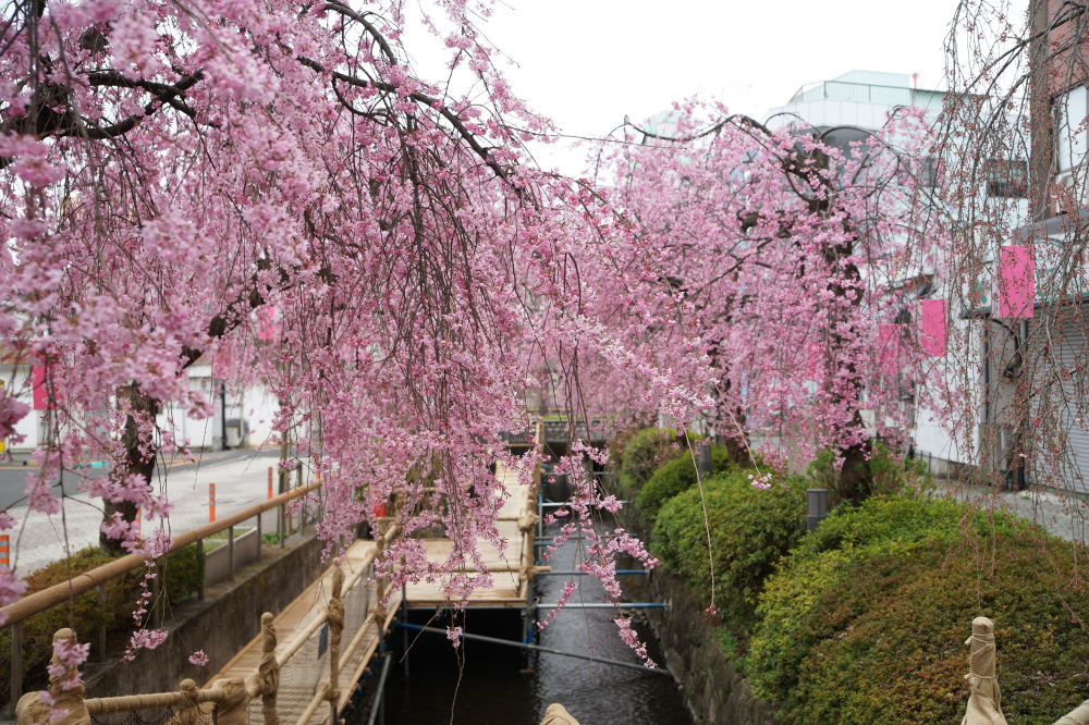 2022年3月30日(水)