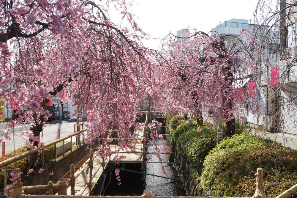 2022年3月28日(月)