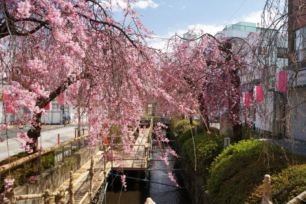 2022年3月27日(日)