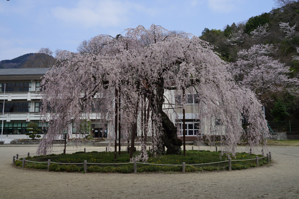 2022年4月7日(木)