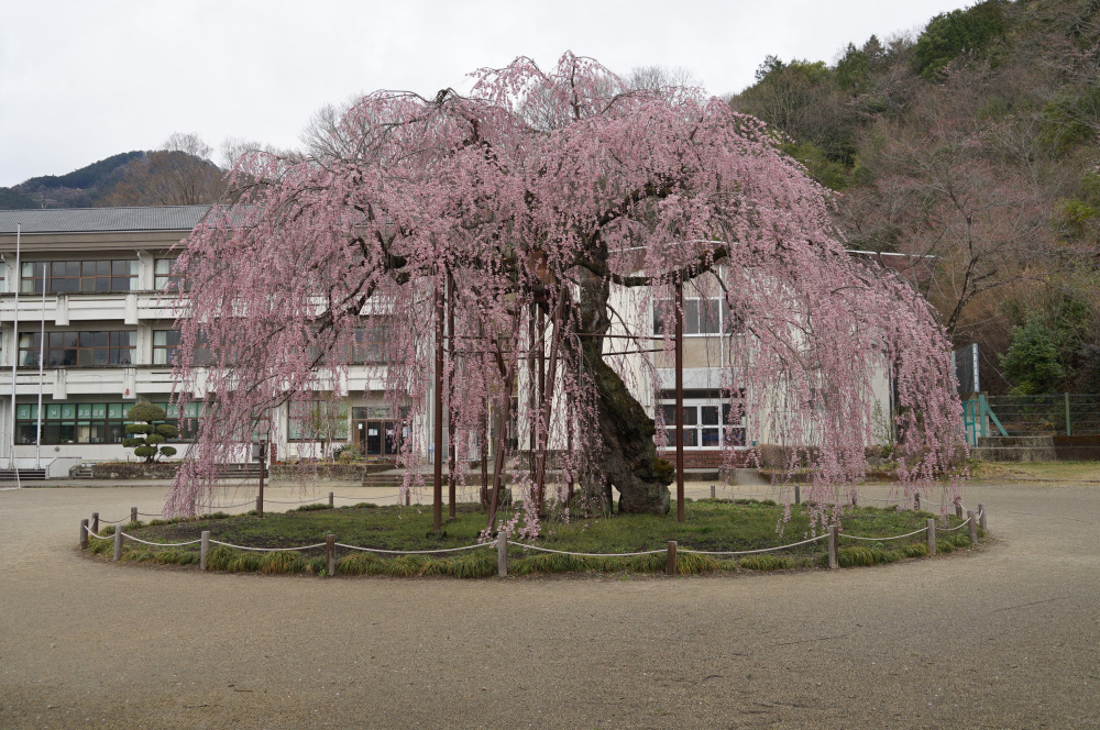 2022年4月5日(火)