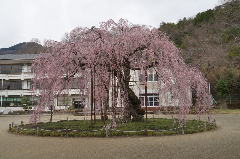 2022年4月1日(金)