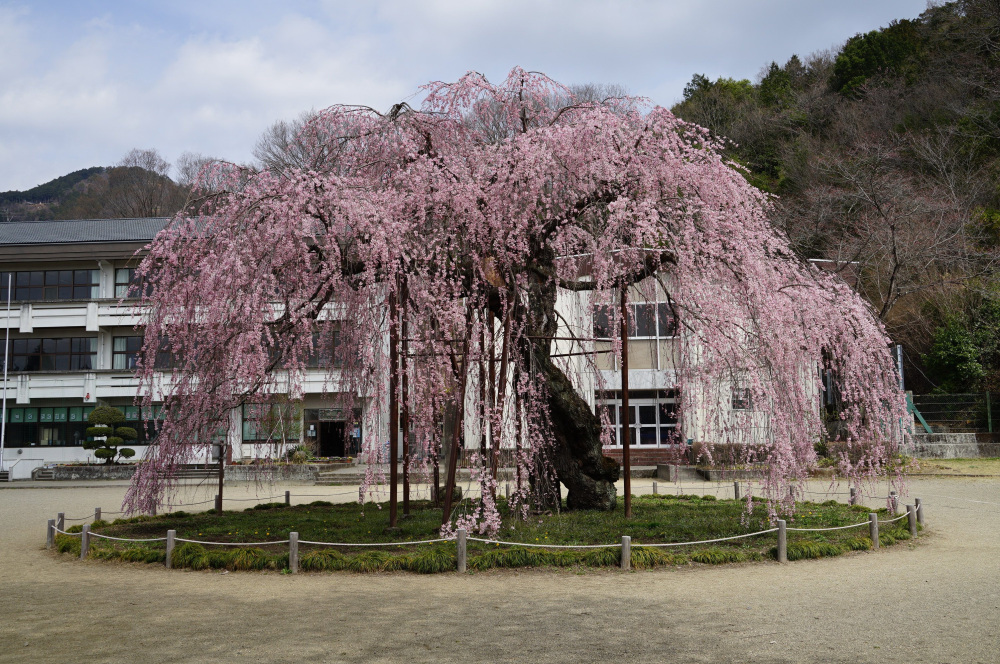 2022年3月31日(木)