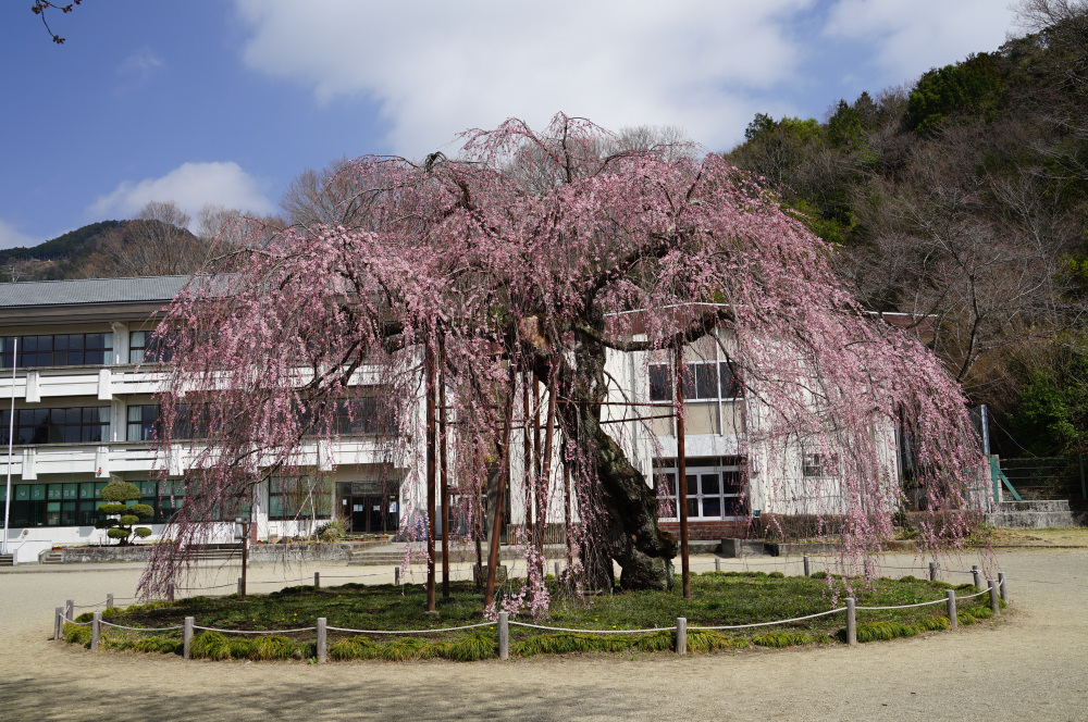 2022年3月30日(水)