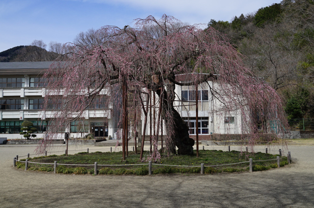 2022年3月28日(月)