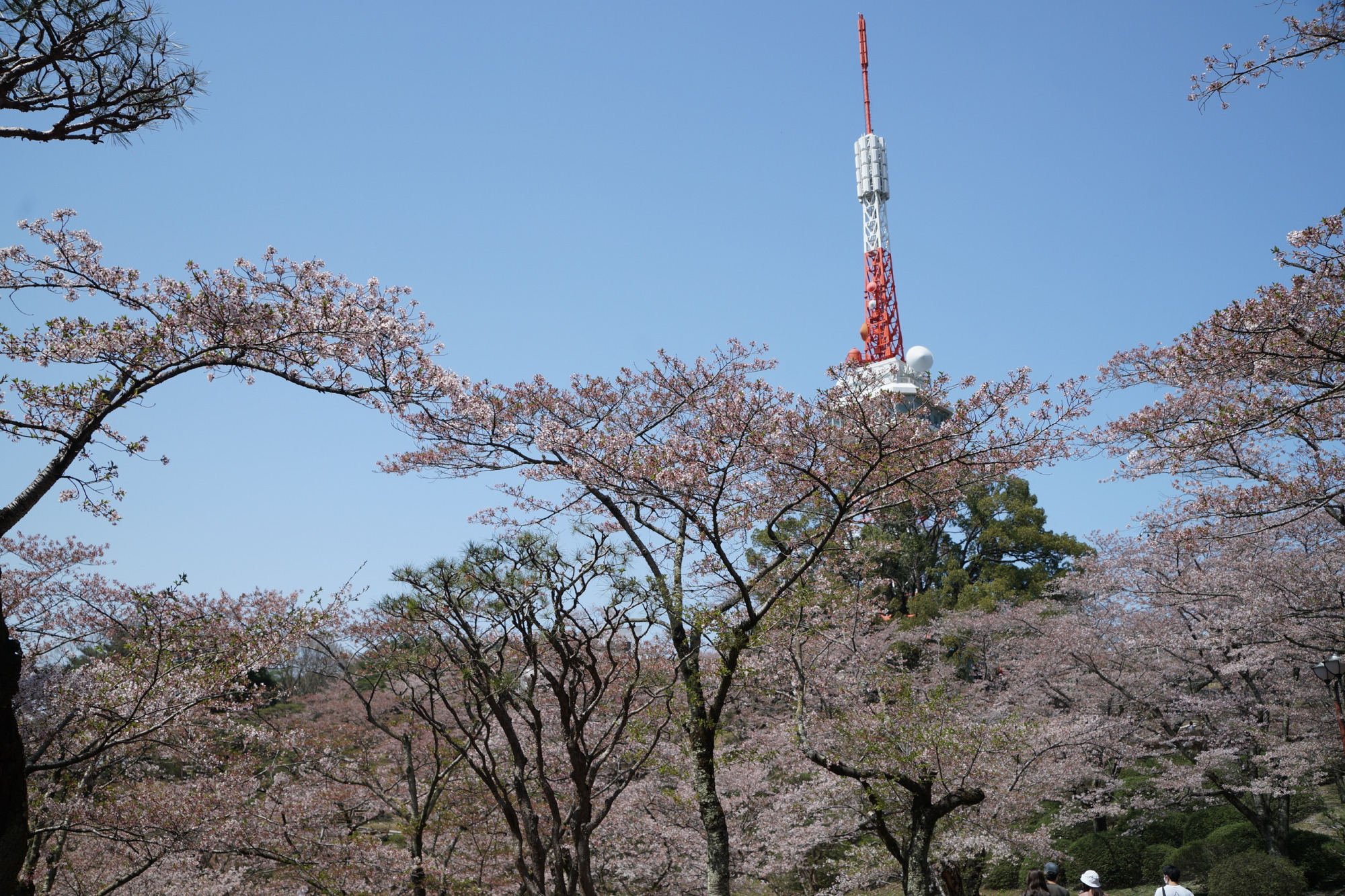 2022年4月10日（日）