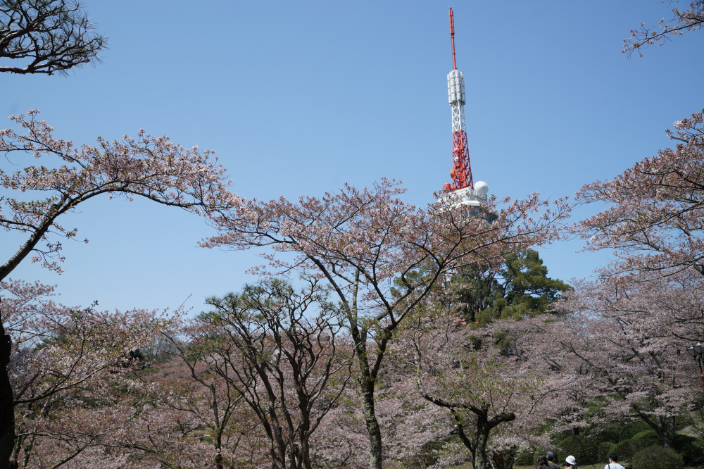 2022年4月10日(日)