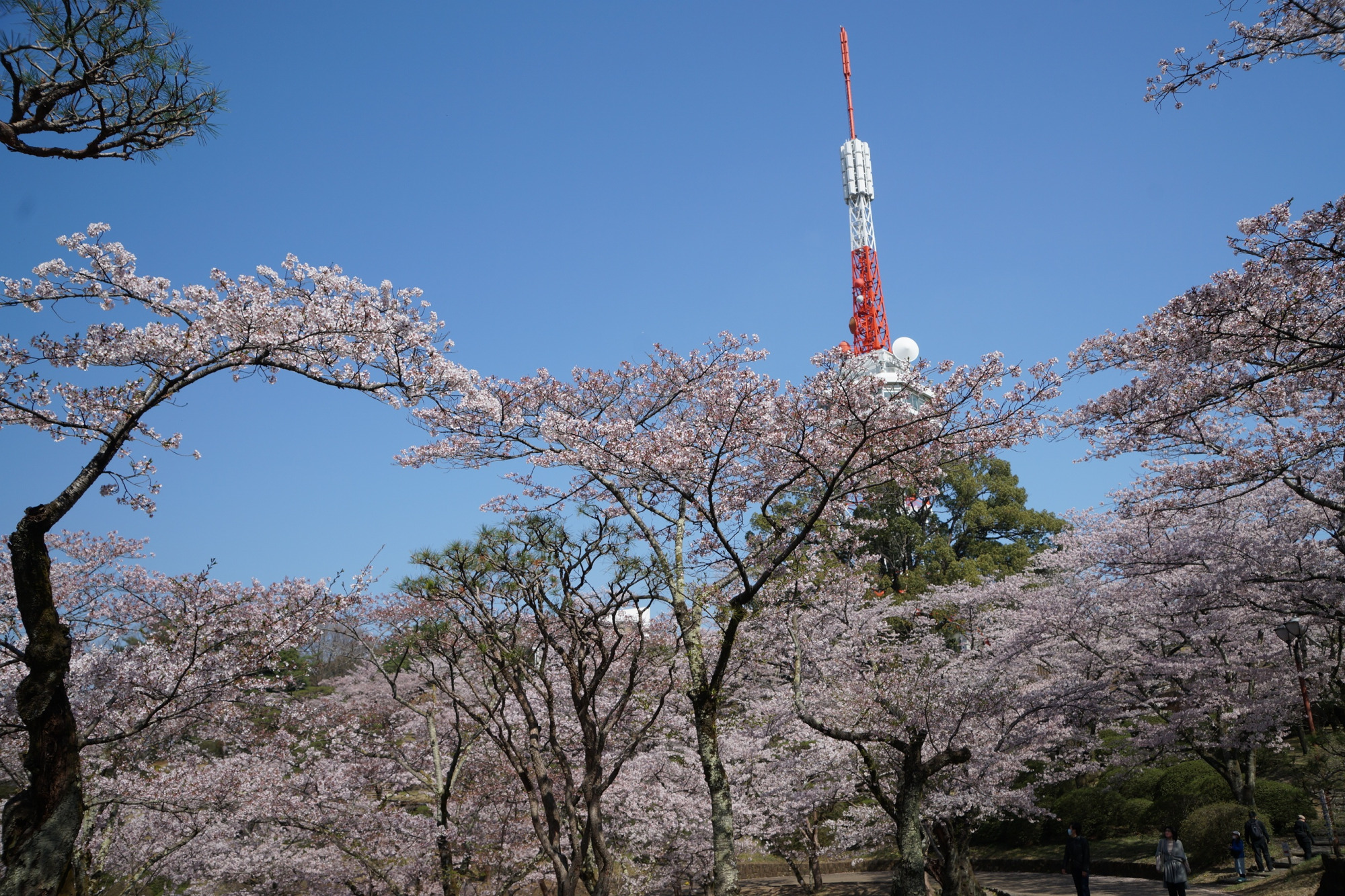2022年4月9日（土）