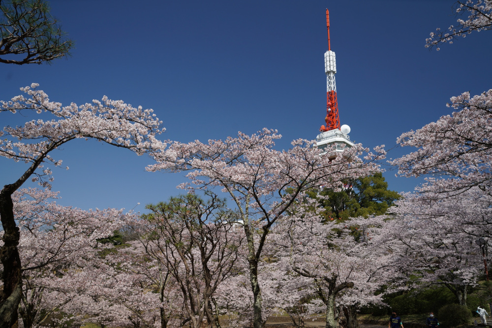 2022年4月8日(金)