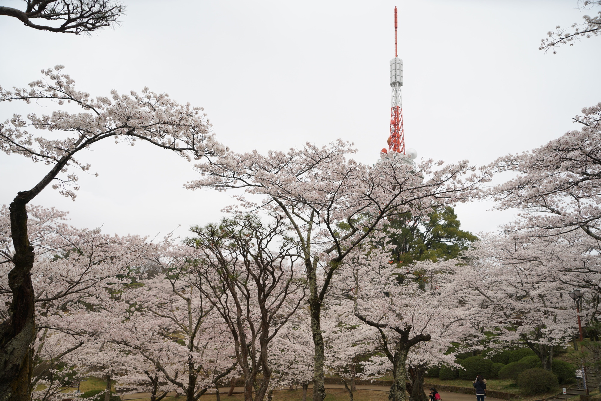 2022年4月6日（水）