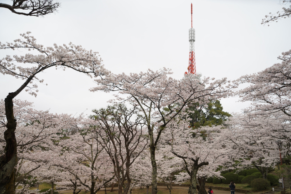 2022年4月6日(水)
