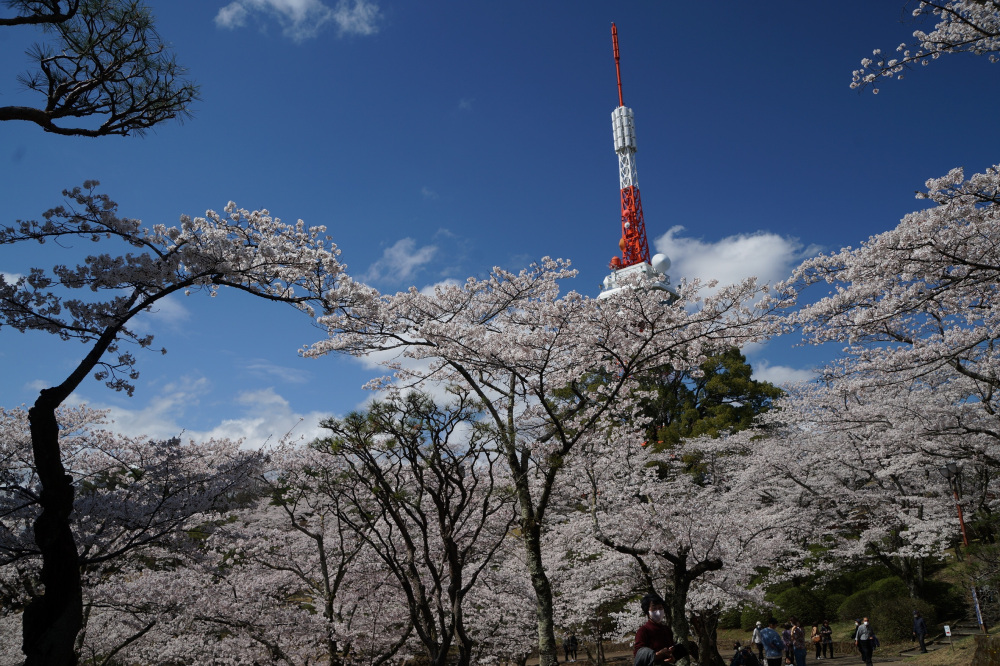 2022年4月5日(火)