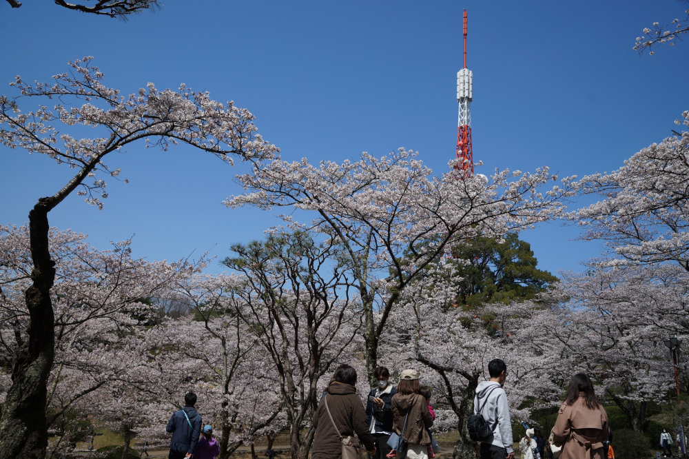 2022年4月2日(土)
