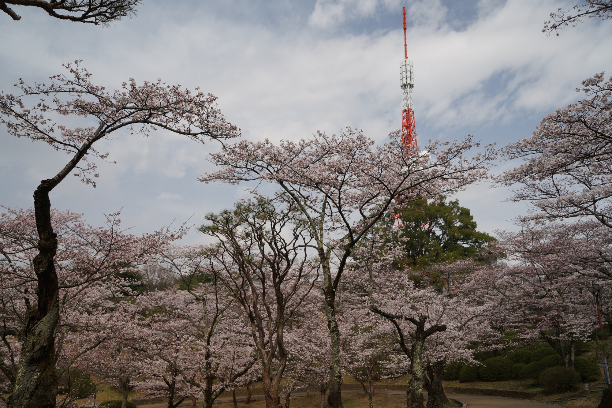 2022年3月31日（木）