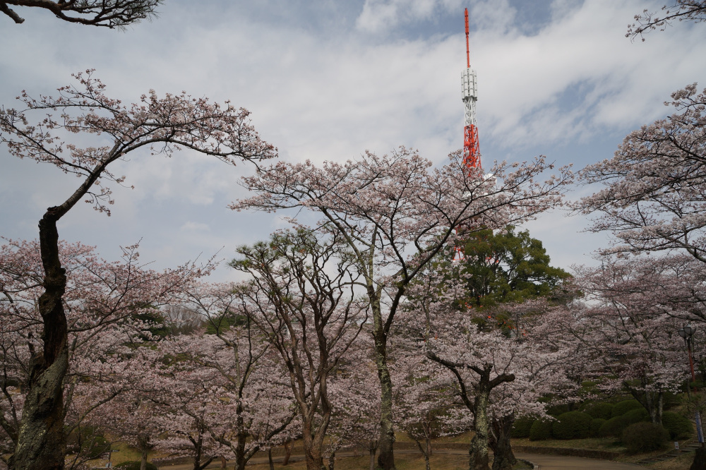 2022年3月31日(木)