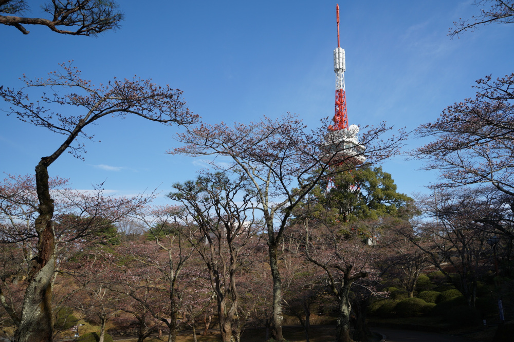 2022年3月28日(月)