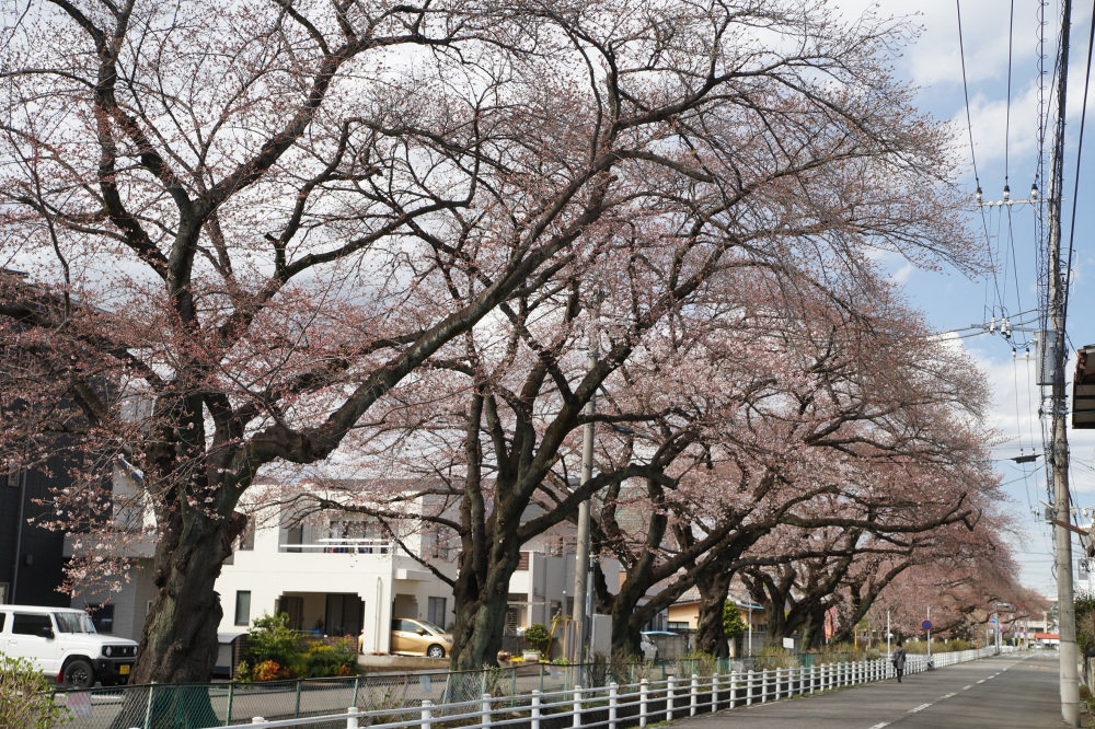 2022年3月27日(日)