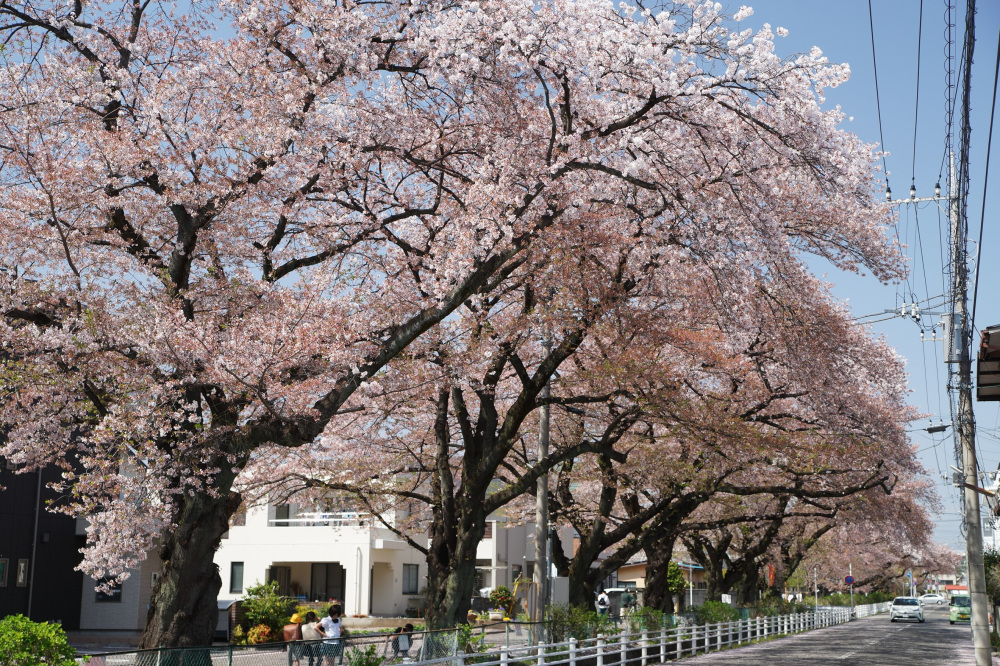 2022年4月10日(日)