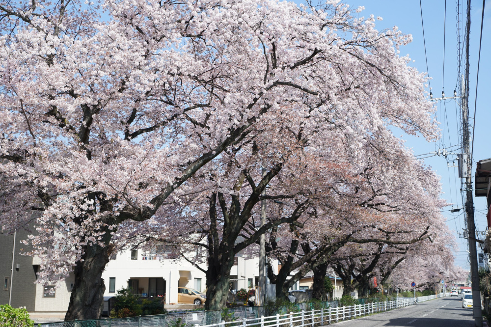2022年4月9日(土)