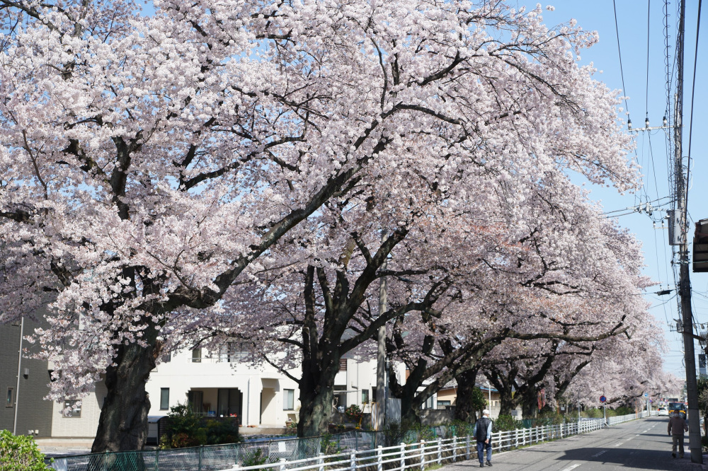 2022年4月8日(金)