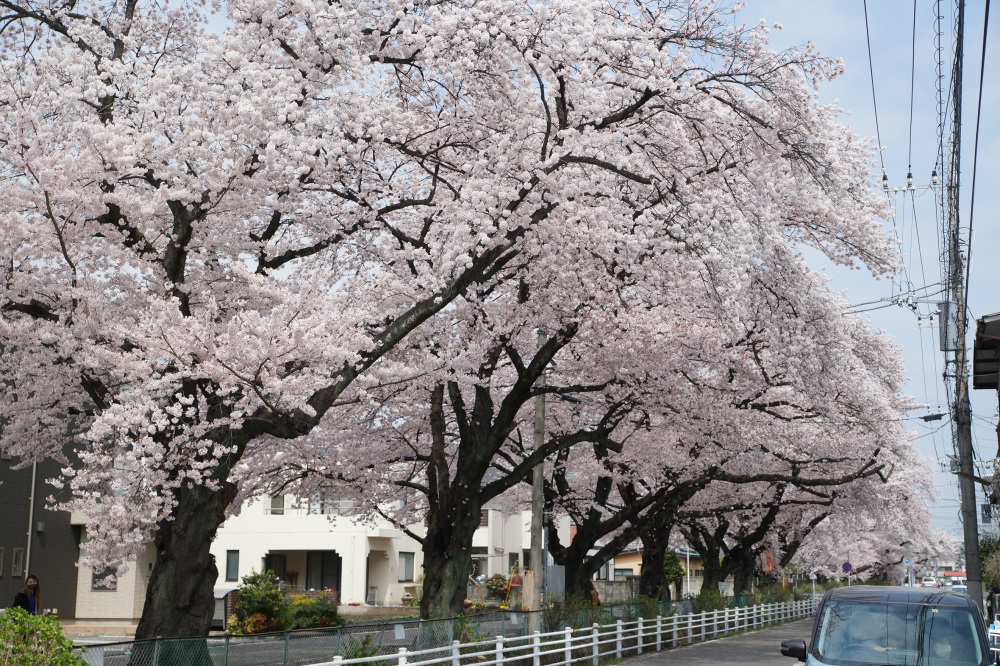 2022年4月7日(木)