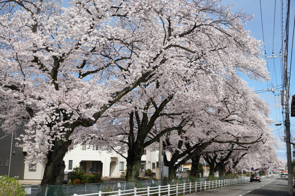2022年4月5日(火)