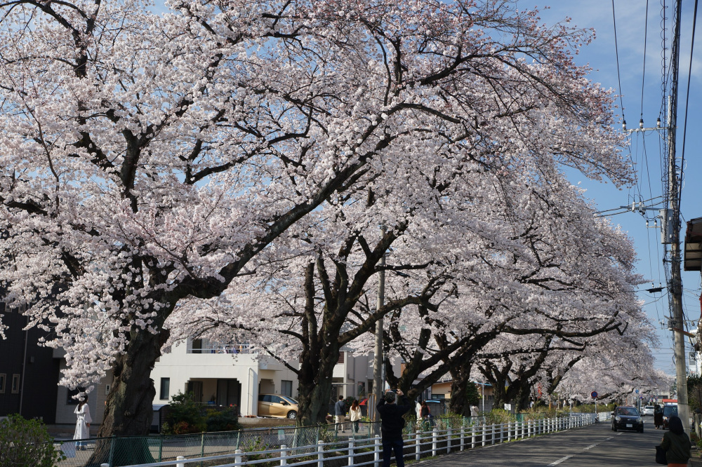 2022年4月2日(土)