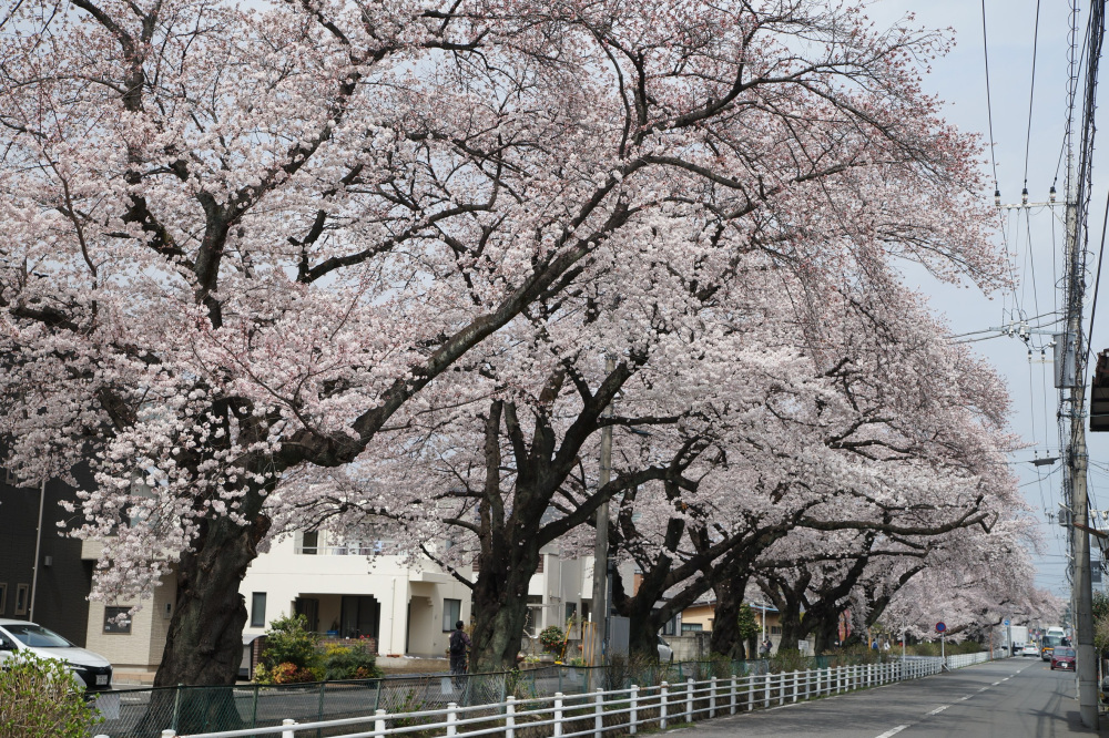 2022年3月31日(木)