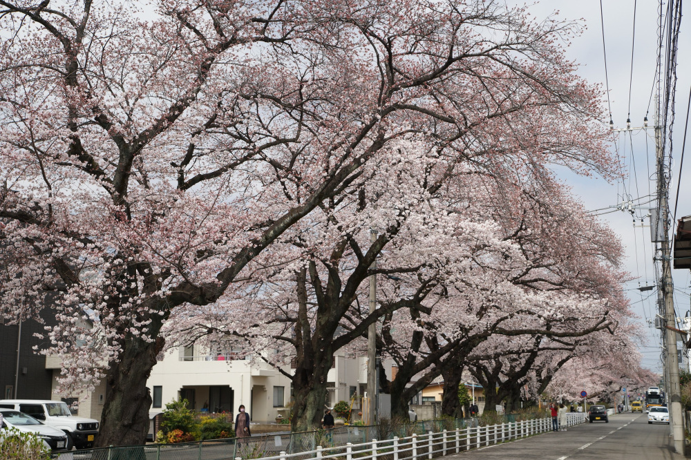 2022年3月30日(水)