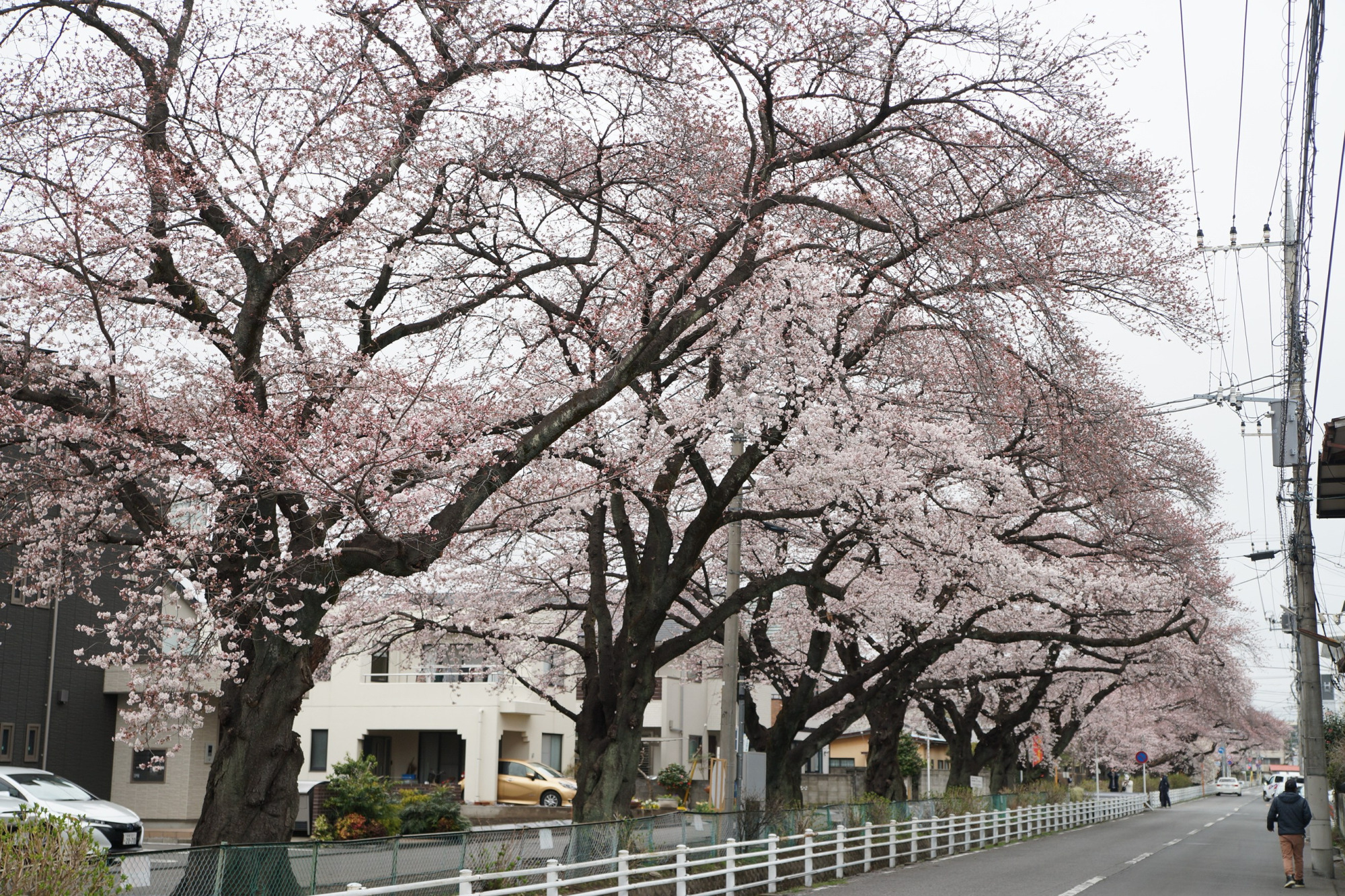 2022年3月29日（火）