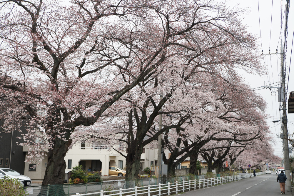 2022年3月29日(火)
