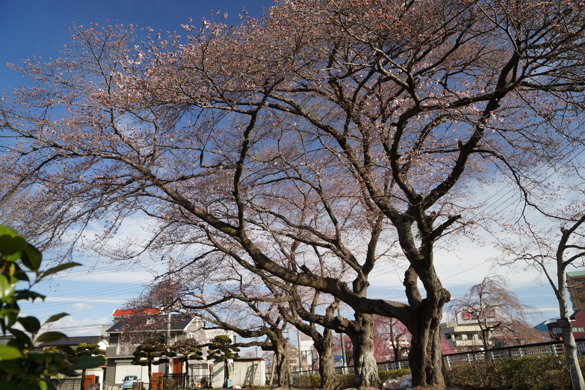 2022年3月28日（月）